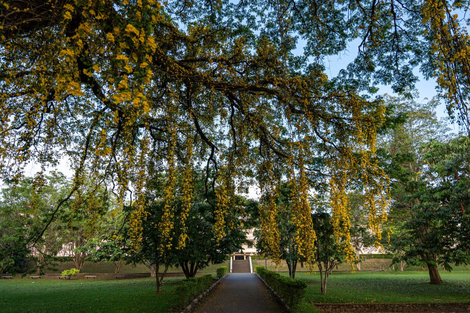 East-West Center Graduate Degree Fellowship 2027