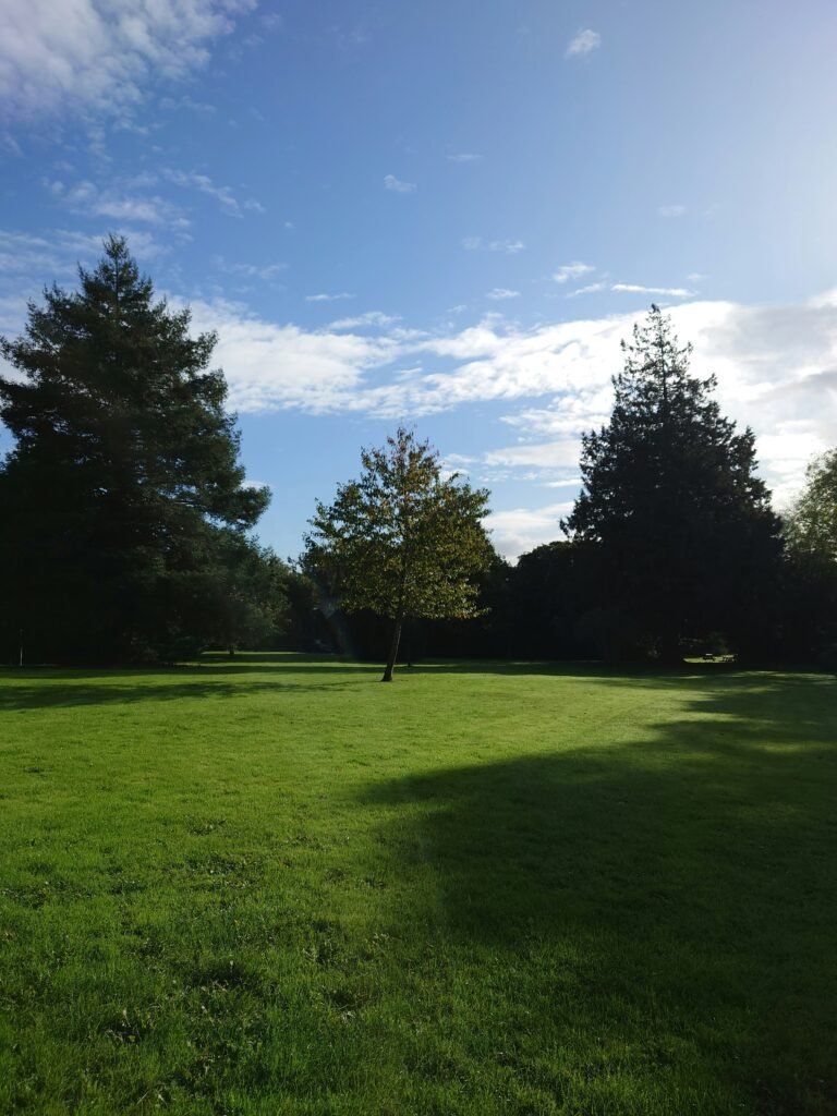 Hornby Trust Scholarship 2027 at University of Exeter