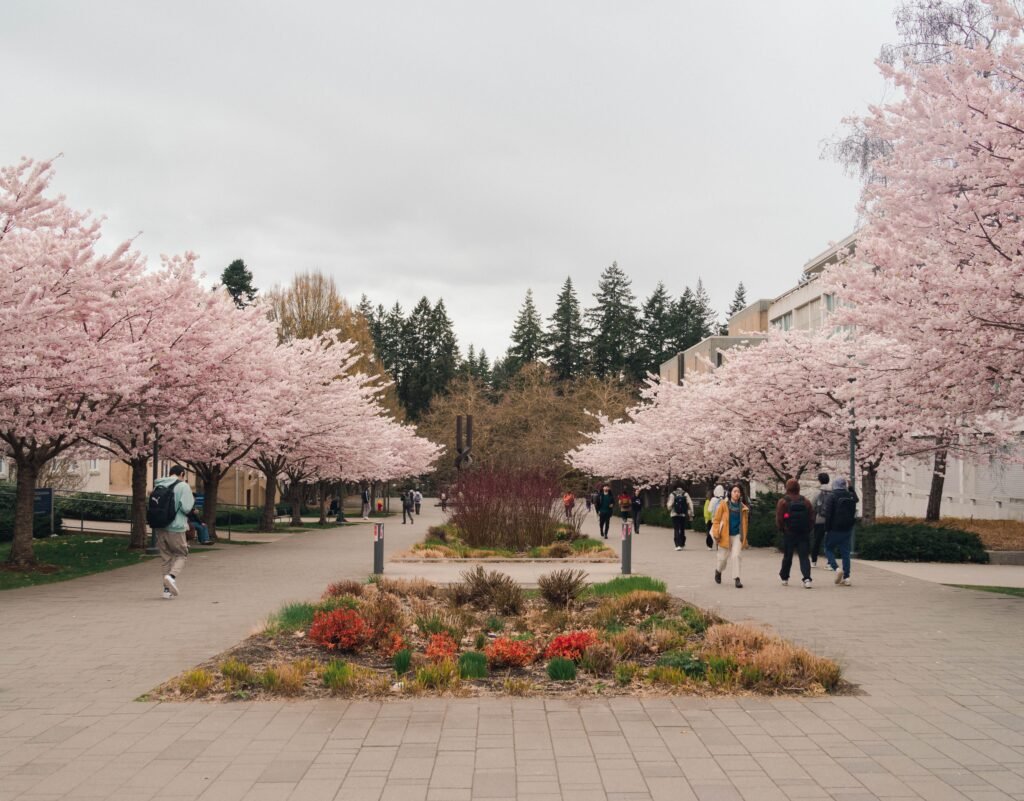 University of Ottawa Undergraduate Scholarships 2027 for international students