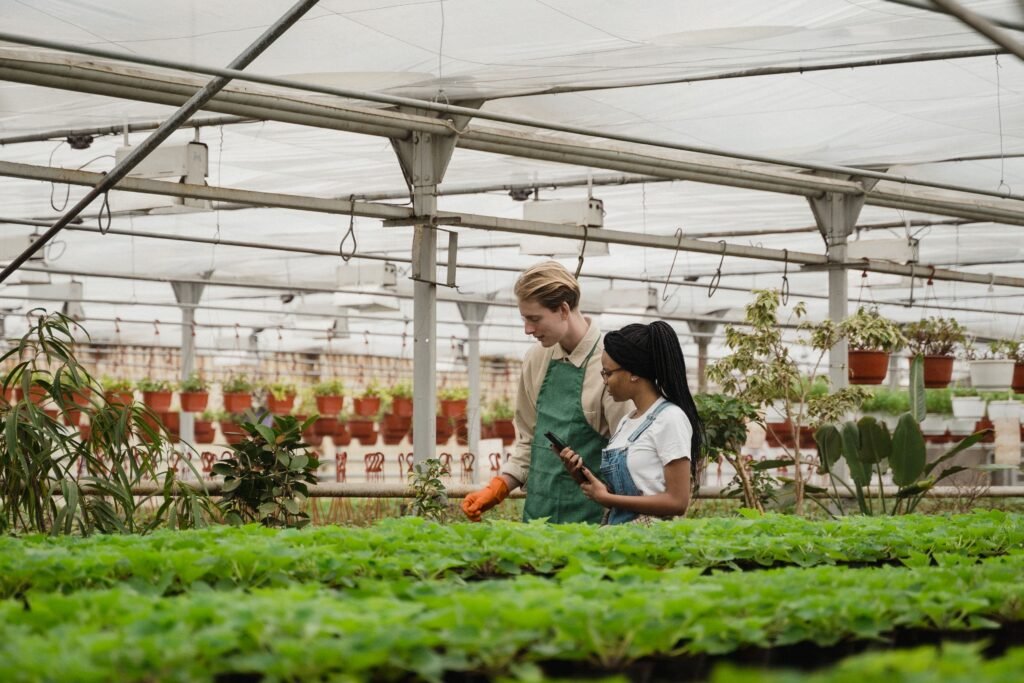 Erasmus Mundus PlantHealth Scholarship 2027 for international students