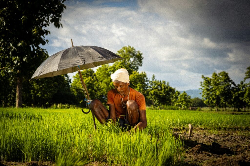 Farmer working in an agricultural field, illustrating sustainable agriculture and food security